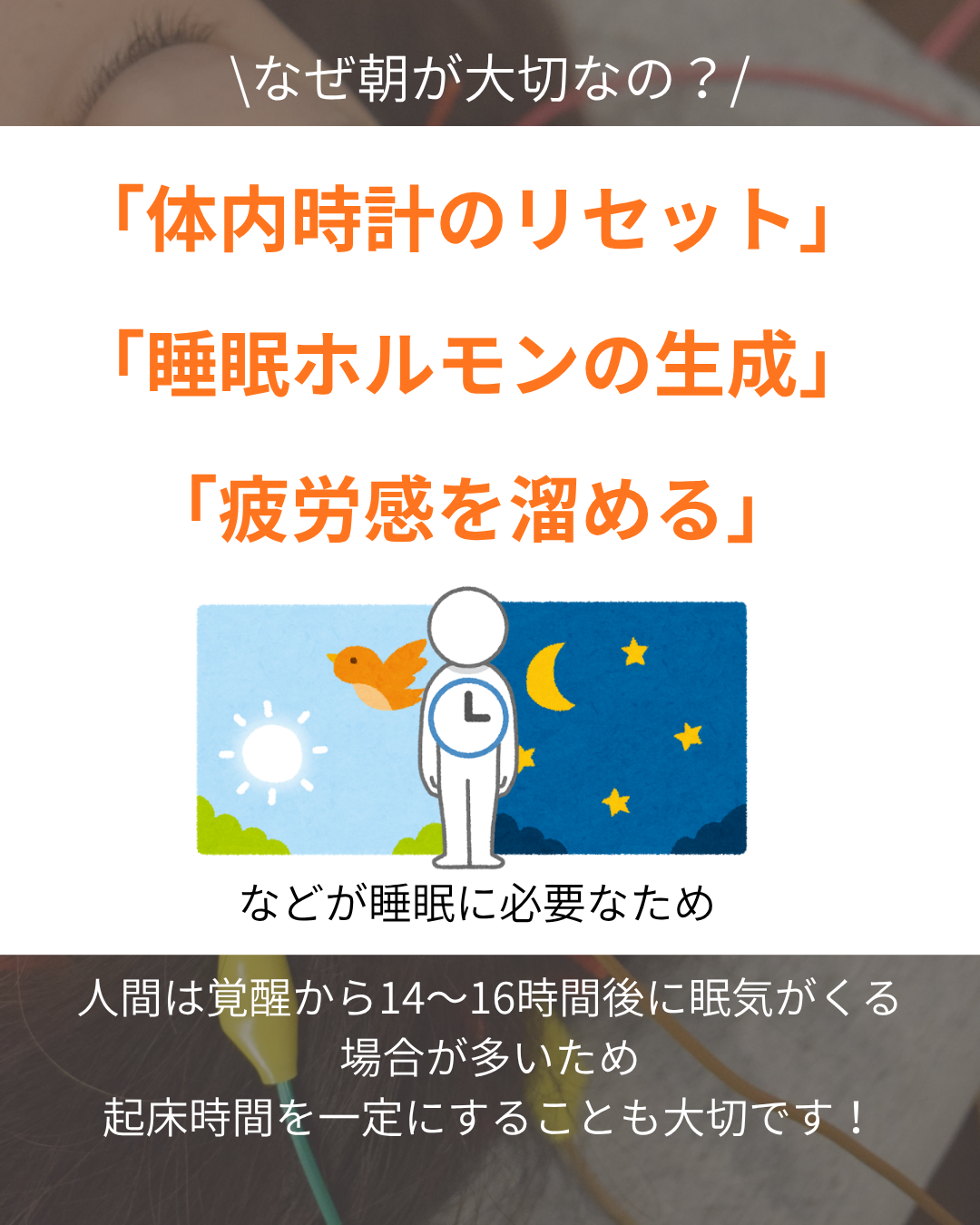 眠りの準備は【朝】から始まっている！？