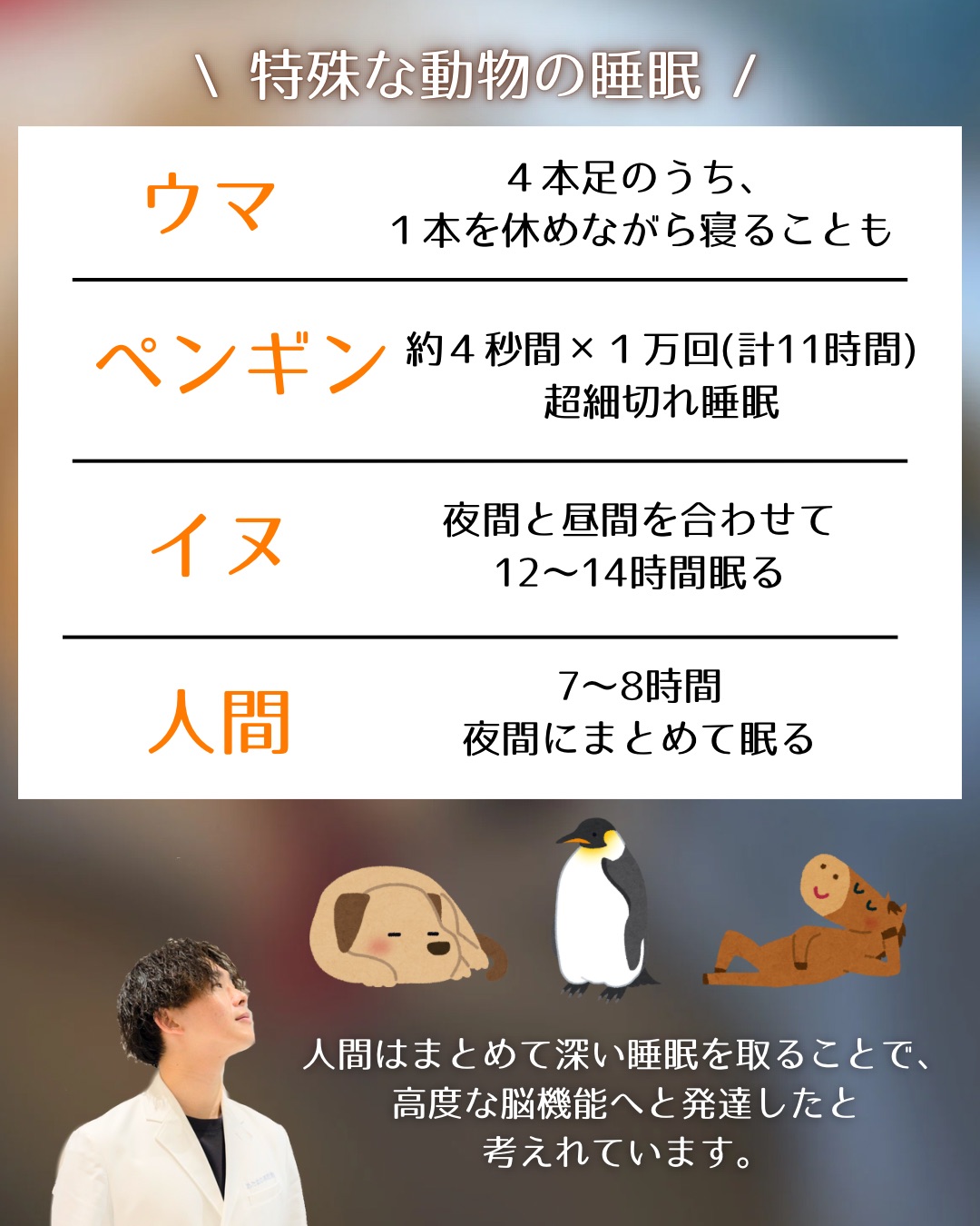【特殊な動物の睡眠】