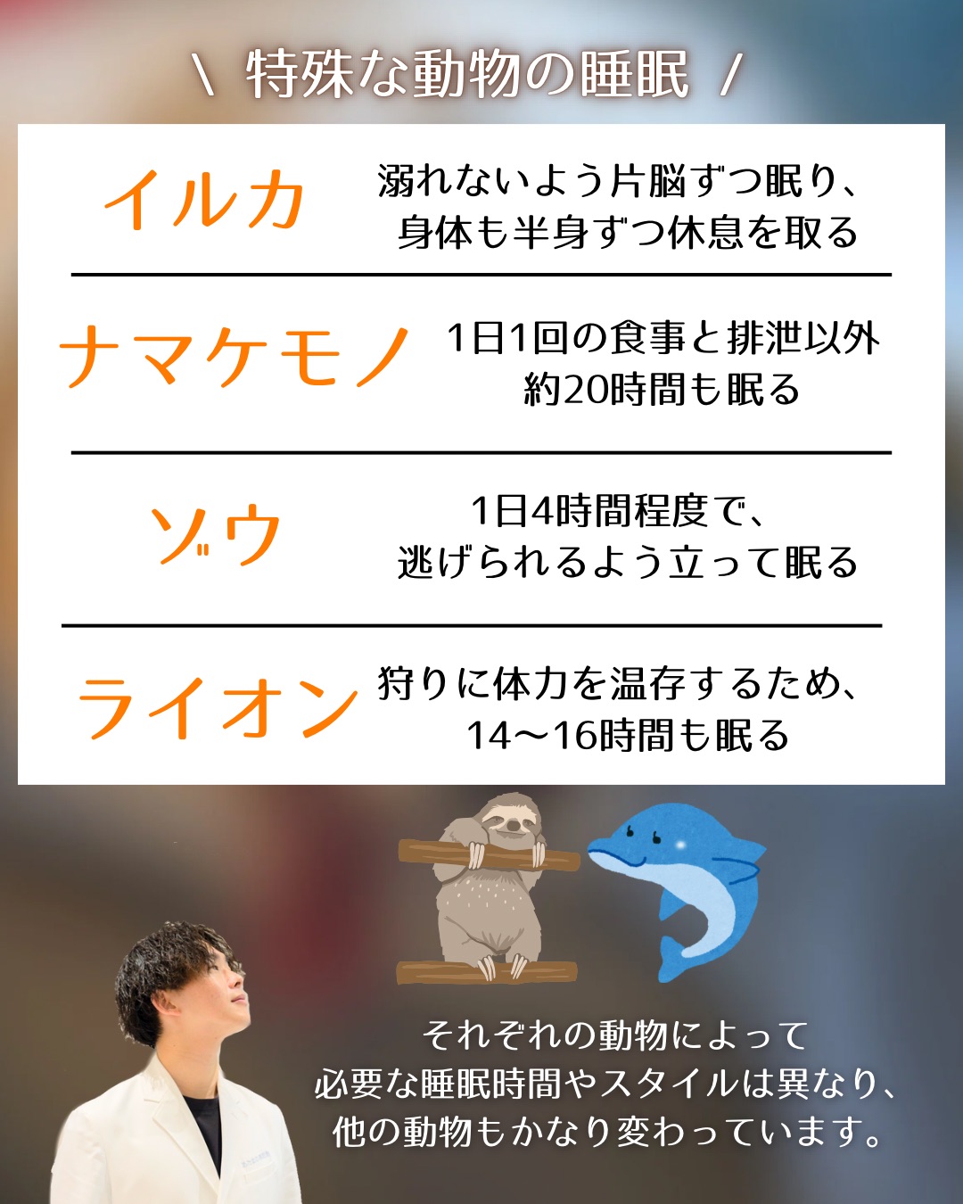 【特殊な動物の睡眠】
