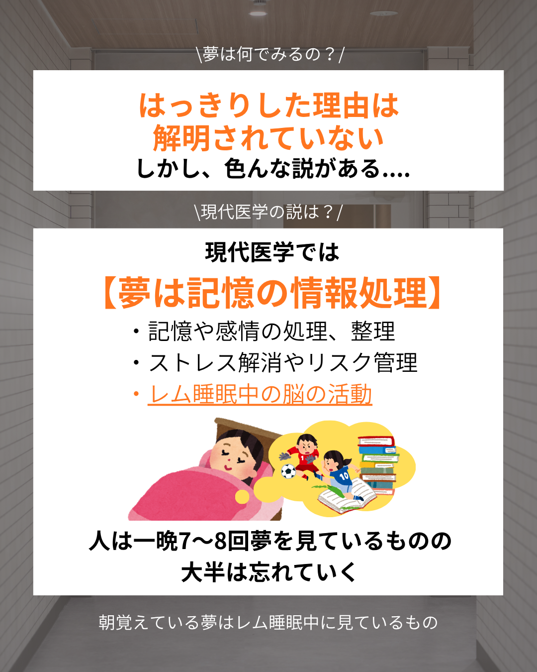 【夢と睡眠の質の関係性】